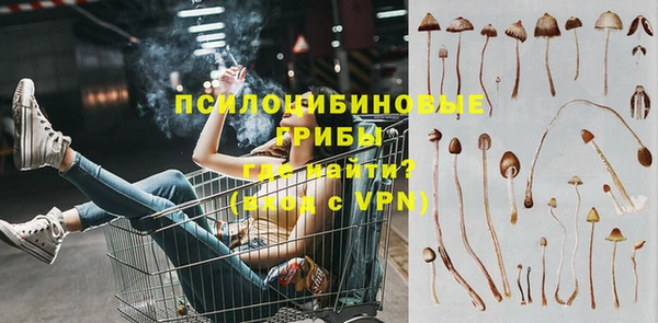 эйфоретик Верея