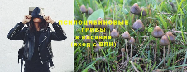 альфа пвп Бугульма