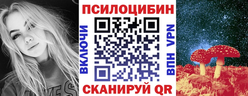 купить наркотики цена  Данков  Псилоцибиновые грибы GOLDEN TEACHER 